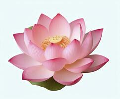 Lotus flower on white background. AI Generated photo