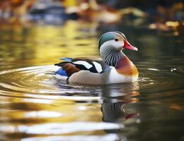 de cerca de mandarín Pato nadando en lago. generativo ai. foto