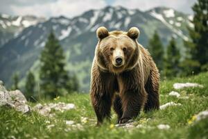 Brown bear moving on the green meadow in springtime nature. AI Generated photo