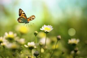 mariposa volador terminado el prado. ai generado foto