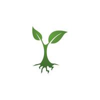 logotipos de la ecología de la hoja del árbol verde vector