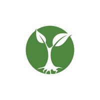 logotipos de la ecología de la hoja del árbol verde vector