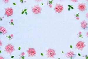 Bright colorful flower rose. floral background photo