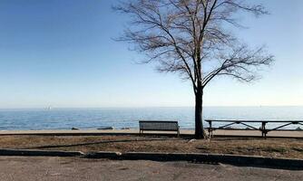 Empty Bench Beside Tree and Beautiful Sea Landscape Photography photo