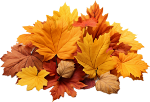 Pile of autumn leaves png with AI generated.