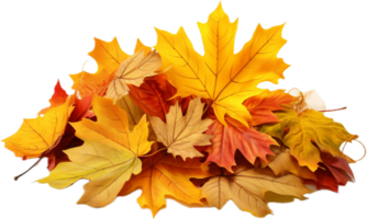 Pile of autumn leaves png with AI generated.