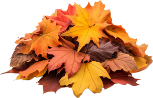 Pile of autumn leaves png with AI generated.