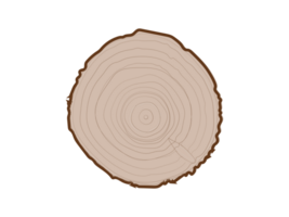 Isolated tree with woodgrain ring natural texture from top view on transparent background png