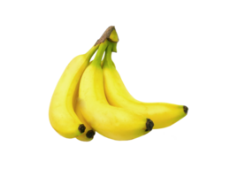 knippa av bananer på transparent bakgrund png