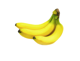 manojo de bananas en transparente antecedentes png