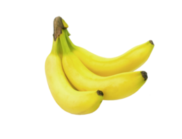 Bündel von Bananen auf transparent Hintergrund png