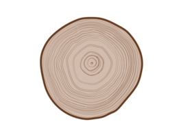 Isolated tree with woodgrain ring natural texture from top view on transparent background png