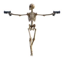 humano esqueleto em transparente fundo, 3d render png