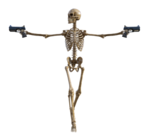 Human skeleton on transparent background, 3d render png