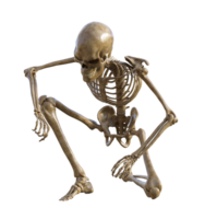 Mensch Skelett auf transparent Hintergrund, 3d machen png