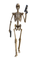 humano esqueleto en transparente fondo, 3d hacer png