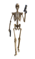 Human skeleton on transparent background, 3d render png