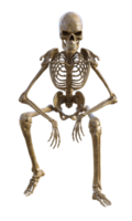 Human skeleton on transparent background, 3d render png