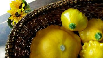 linda amarillo calabaza, otoño cosecha, comida video