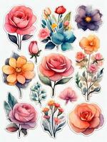 flower collection with watercolor art, AI generated. photo
