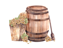 Wine barrel and winemaking harvest, wicker basket, crusher, bunches of grapes, grapevine Watercolor hand draw Illustration for your label winemaking print, menu, wine list png