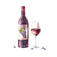 A bottle and glass of red wine with grape berries. Watercolour hand draw food illustration. Wine making set for your design print of label sticker, flyers, menu, wine list, card png