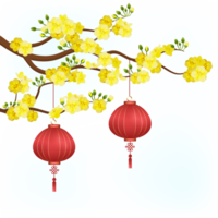Yellow apricot flower with red lampion png