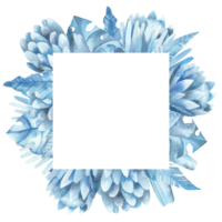 cadres avec bleu tropical feuilles png