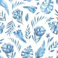 frames with blue tropical leaves pattern png