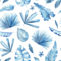 frames with blue tropical leaves pattern png