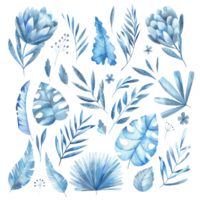 blue tropical watercolor leaves png