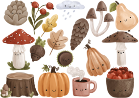 herfst clip art met champignons. hout bladeren, natuur elementen, kruiden, blad, paddestoelen, pompoenen. hand- geschilderd Aan geïsoleerd achtergrond. botanisch illustratie png