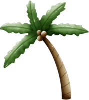 alto Coco árbol png