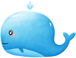 Whales live in the sea and are large in size. png