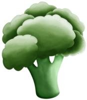 färsk grön broccoli png