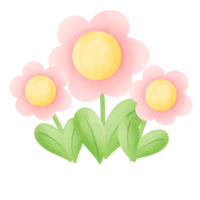 aquarelle fleur fleurit pastel illustration png