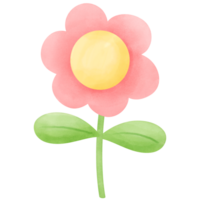 aquarelle fleur fleurit pastel illustration png