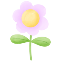 Watercolor flower blooms pastel illustration png