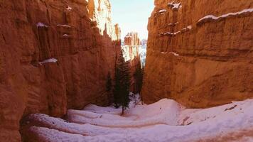 Bryce Canyon in Winter. Navajo Loop Trail. Bryce Canyon National Park, Utah, USA. Tilt Up video