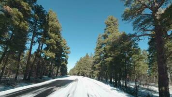 Car Driving on Snowy Icy Road in Winter on Sunny Day. Green Coniferous Forest. Grand Canyon National Park. Arizona, USA video