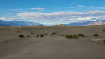 mesquite piatto sabbia dune su soleggiato giorno. Morte valle nazionale parco. California, Stati Uniti d'America. in movimento tempo periodo, inclinazione su video