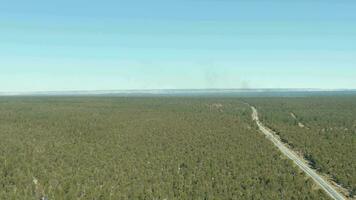 kaibab nationell skog, stor kanjon och väg. arizona, usa. antenn se. Drönare flugor sidled video
