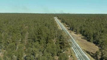 kaibab nationell skog och bil på väg på solig dag. arizona, usa. antenn se. Drönare flugor framåt- video