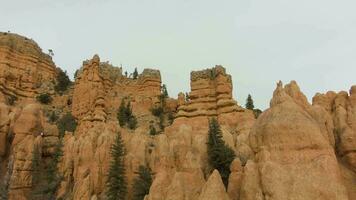 rojo cañón en invierno día. marmita nacional bosque. nublado cielo. Utah, EE.UU. aéreo vista. zumbido moscas adelante y hacia arriba video