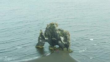 Hvitserkur Rock in Summer Day and Tourists. Iceland. Aerial View. Drone Flies Forward, Tilt Down video