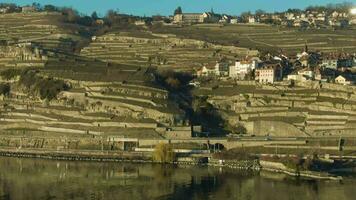 terraço vinhas e Vila em lago Genebra costa em ensolarado dia. lavaux, Suíça. aéreo visualizar. zangão é órbita video