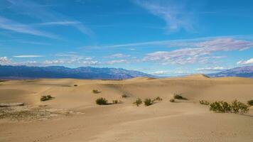 mesquite plat le sable dunes sur ensoleillé journée. décès vallée nationale parc. Californie, Etats-Unis. en mouvement panoramique temps laps video