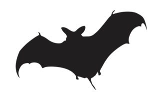 Pose of Bat Silhouette with Transparent Background png