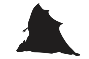 Pose of Bat Silhouette with Transparent Background png