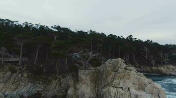 Lone Cypress and Pacific Ocean near Monterey. California, USA. Aerial View. Drone is Orbiting and Ascending, Tilt Down video